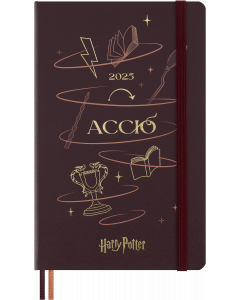 Classic Hard 12M Daily Large Harry Potter 2025 